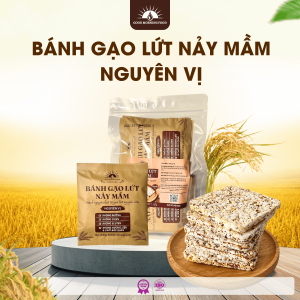 BÁNH GẠO LỨT NẢY MẦM - NGUYÊN VỊ